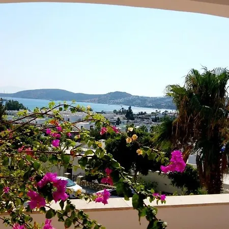 Center Sea View