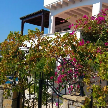Center Sea View Villa *