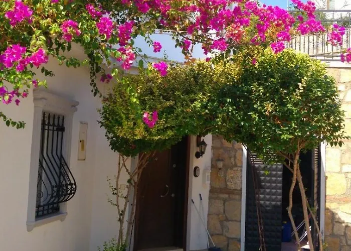 Center Sea View Villa *