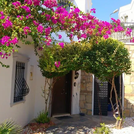 Center Sea View Villa *